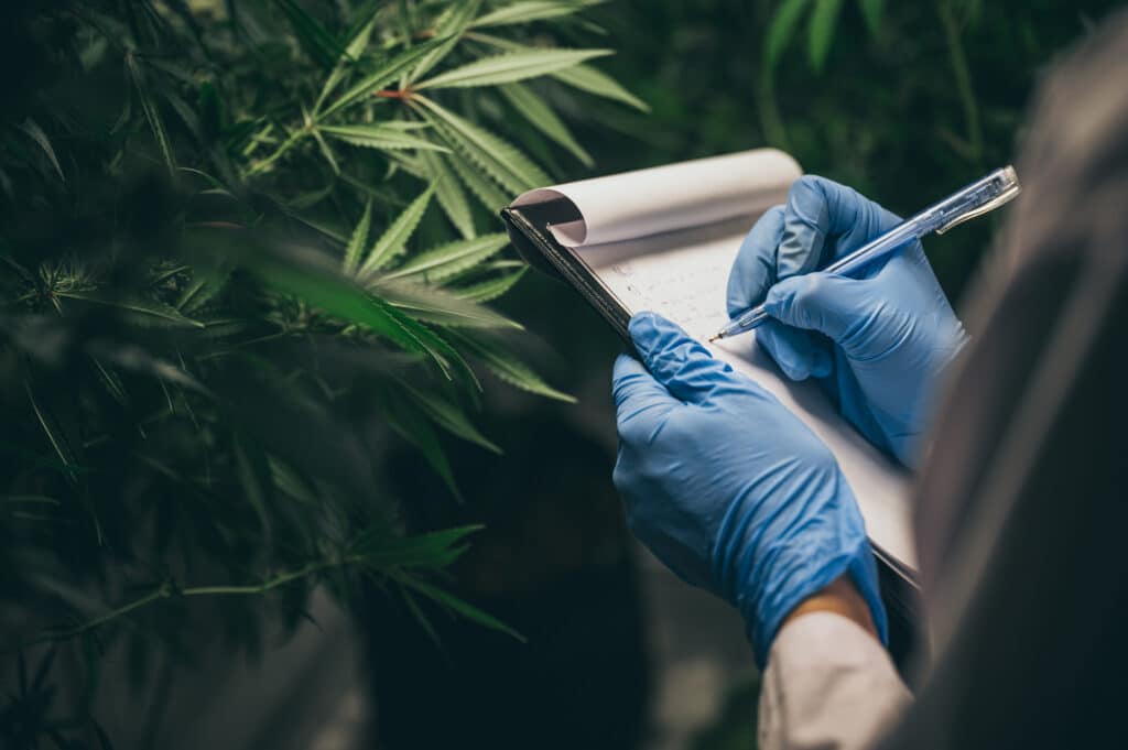 effets secondaire cbd