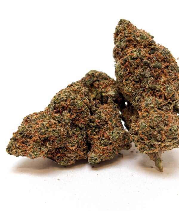 𝐍𝐄𝐖 / Fleurs CBD - Indoor -  Orange Bud