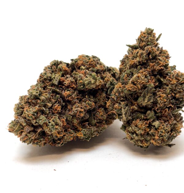 𝐍𝐄𝐖 / Fleurs CBD - Indoor - Blue Widow