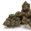 𝐍𝐄𝐖 / Fleurs CBD - Glass House -  Super Silver Haze