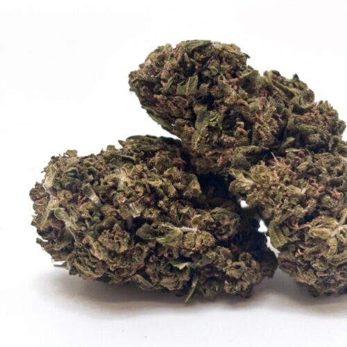 𝐍𝐄𝐖 / Fleurs CBD - Green House - Tangerine Dream