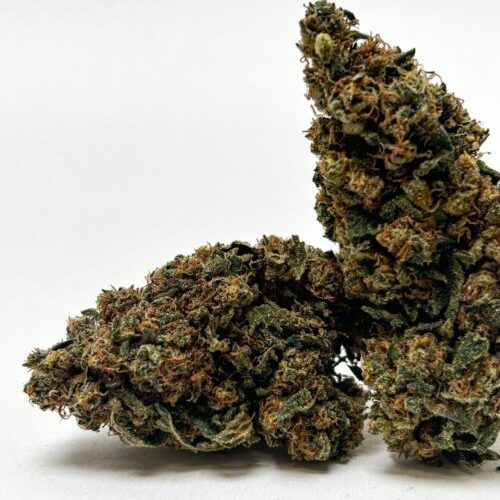 𝐍𝐄𝐖 Promo ! / Fleurs CBD - Indoor - Stropicanna Cookies (10g = 30€)