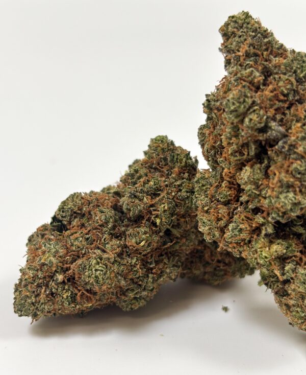 𝐍𝐄𝐖 / Fleurs CBD - Indoor - Blue Gelato