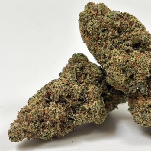 𝐍𝐄𝐖 / Fleurs CBD - Indoor - Rainbow x GP3
