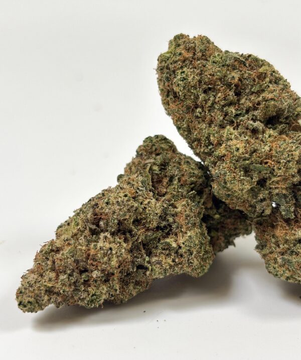𝐍𝐄𝐖 / Fleurs CBD - Indoor - Rainbow x GP3