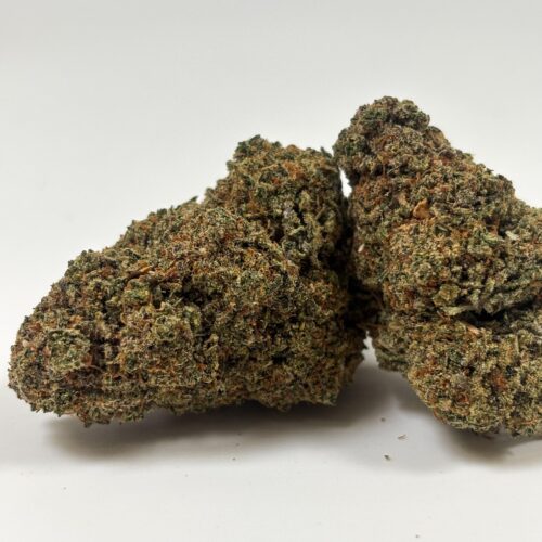 𝐍𝐄𝐖 /  Fleurs CBD - Indoor - Sorbet
