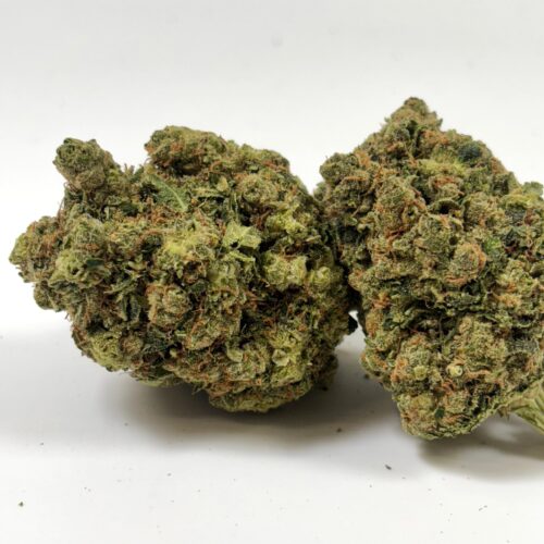 𝐍𝐄𝐖 / Fleurs CBD - Indoor -  White Sibérian Cryo