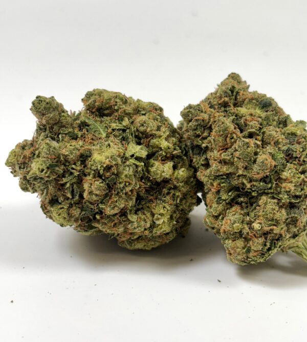 𝐍𝐄𝐖 / Fleurs CBD - Indoor -  White Sibérian Cryo