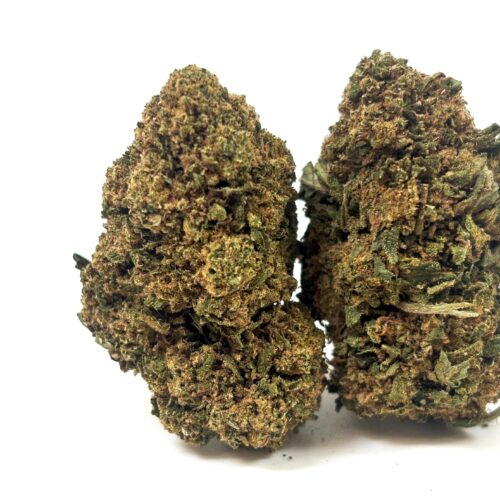 𝐍𝐄𝐖 / Fleurs CBD - Glass House - Caramel Candy