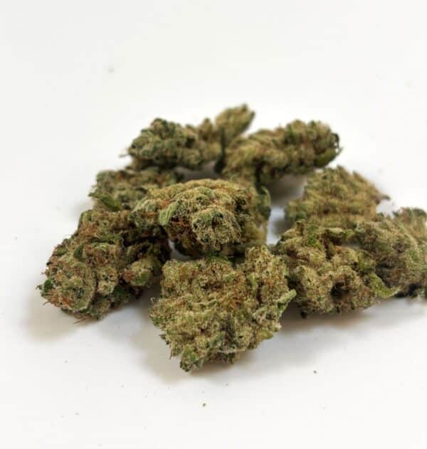 G13 small pic 𝐍𝐄𝐖 / PROMO ! Gushers Indoor premium ++ - Small Buds - 10G