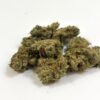 𝐍𝐄𝐖 / PROMO ! Amnesia US Indoor premium ++ - Small Buds - 10G
