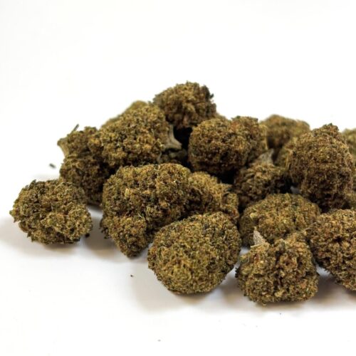 𝐍𝐄𝐖 / PROMO ! Green Velvet Indoor premium ++ - Small Buds - 10G