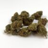 𝐍𝐄𝐖 / PROMO ! Blueberry Cookies Indoor premium ++ - Small Buds - 10G