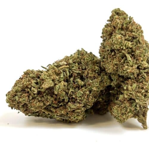 𝐍𝐄𝐖 / Fleurs CBD - Glass House - Tropical Haze