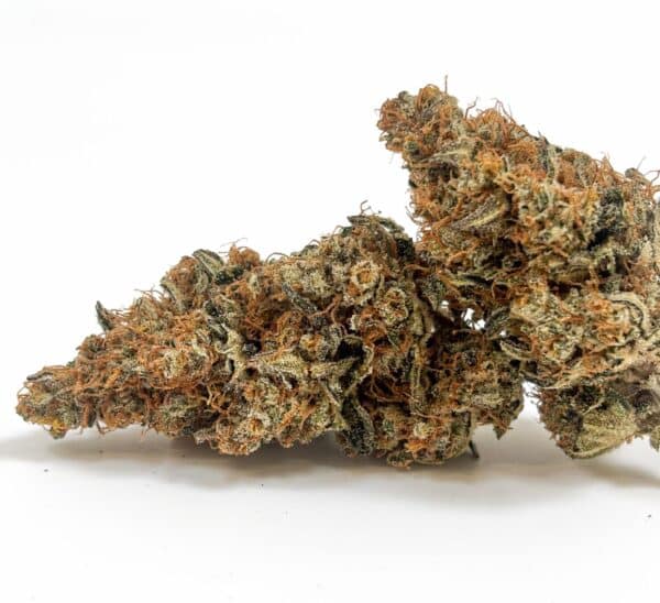 3d88f5cc-ee3b-41c3-a4f7-834fa70ba974 NEW ! Lemon Grace- indoor d’exception made in France