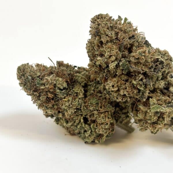 ORANGE BITTER IND HAPPY POUSSE copie NEW ! Orange Bitter- indoor d’exception made in France