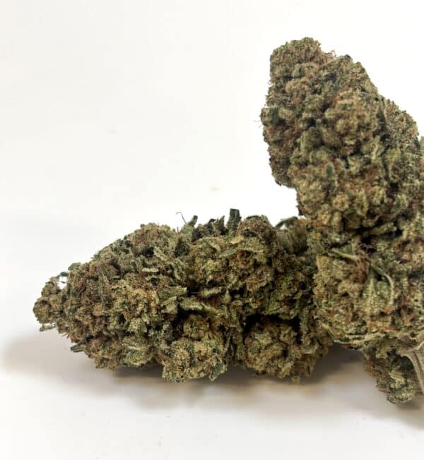 NEW ! Pineapple haze - indoor d’exception made in France