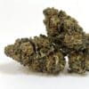 NEW ! Tangie Kush - indoor d’exception made in France