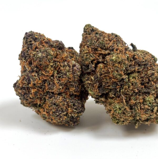 PURPLE-GAZ-1320x1328 NEW ! Purple Gaz - indoor